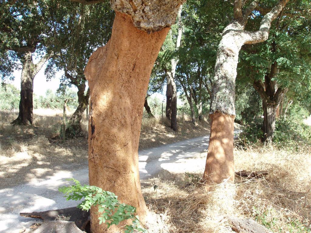 فندق توريس نوفاسفي  Casal Da Juge المظهر الخارجي الصورة